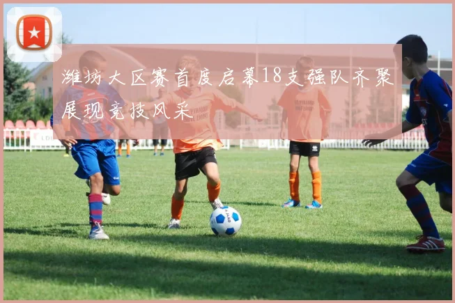潍坊大区赛首度启幕18支强队齐聚展现竞技风采