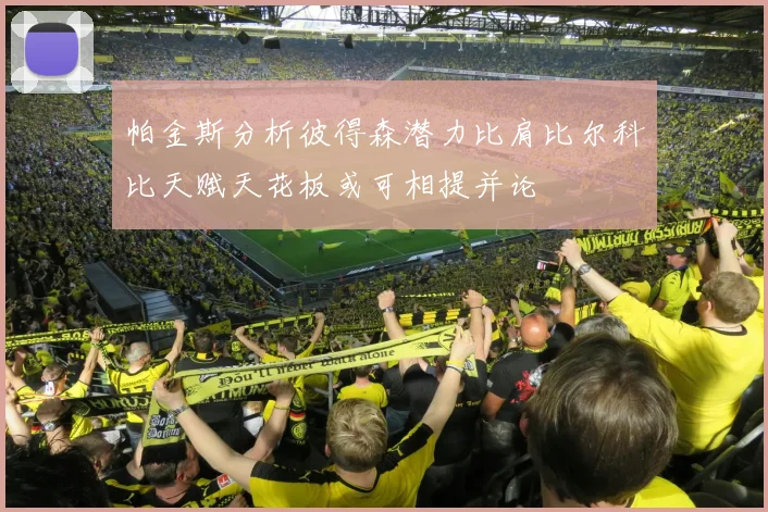 帕金斯分析彼得森潜力比肩比尔科比天赋天花板或可相提并论