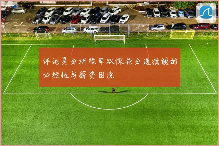 评论员分析绿军双探花分道扬镳的必然性与薪资困境